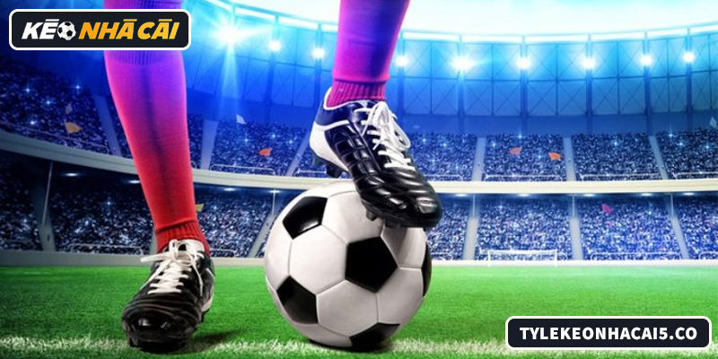 Bảng xếp hạng dễ hiểu giúp người mới soi kèo an toàn